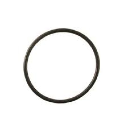 IMW FILTER RUBER RING BIG